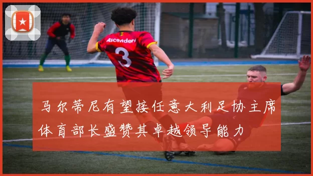 马尔蒂尼有望接任意大利足协主席体育部长盛赞其卓越领导能力