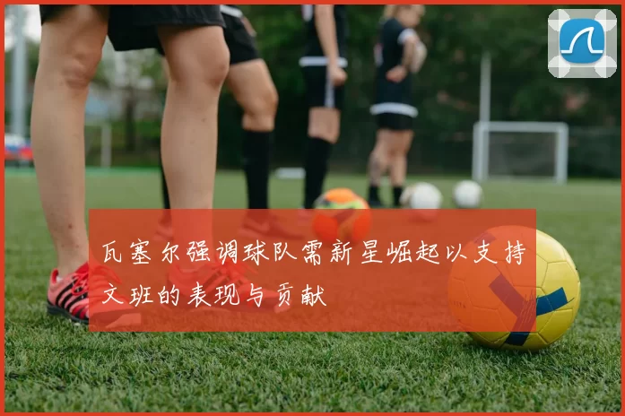 瓦塞尔强调球队需新星崛起以支持文班的表现与贡献